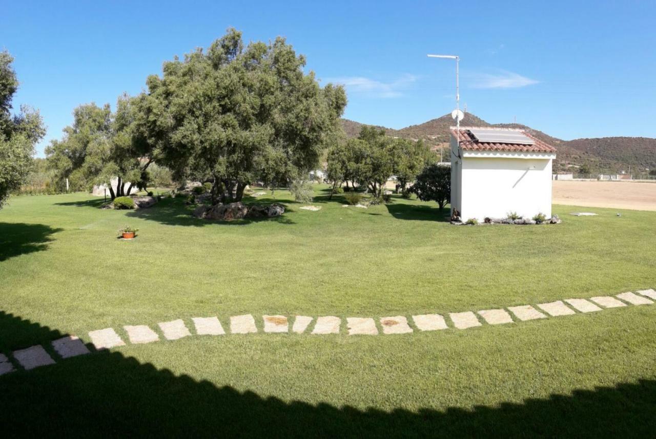 B&B Majore Όλμπια Εξωτερικό φωτογραφία