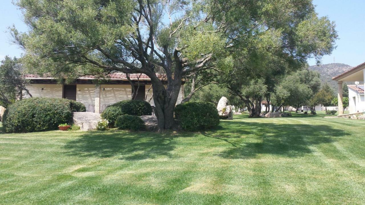 B&B Majore Όλμπια Εξωτερικό φωτογραφία