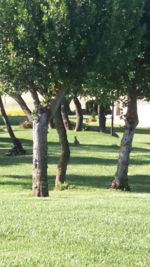 B&B Majore Όλμπια Εξωτερικό φωτογραφία