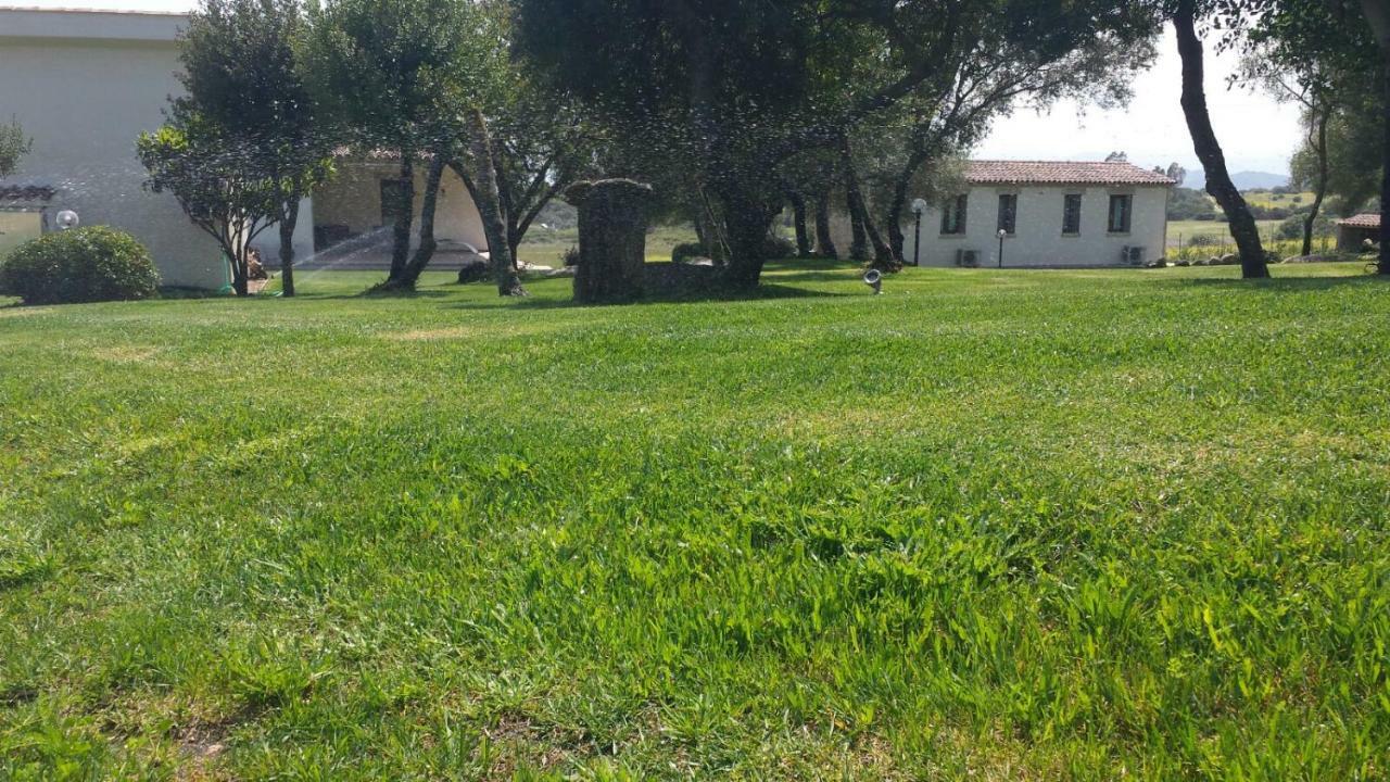 B&B Majore Όλμπια Εξωτερικό φωτογραφία