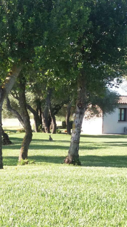 B&B Majore Όλμπια Εξωτερικό φωτογραφία
